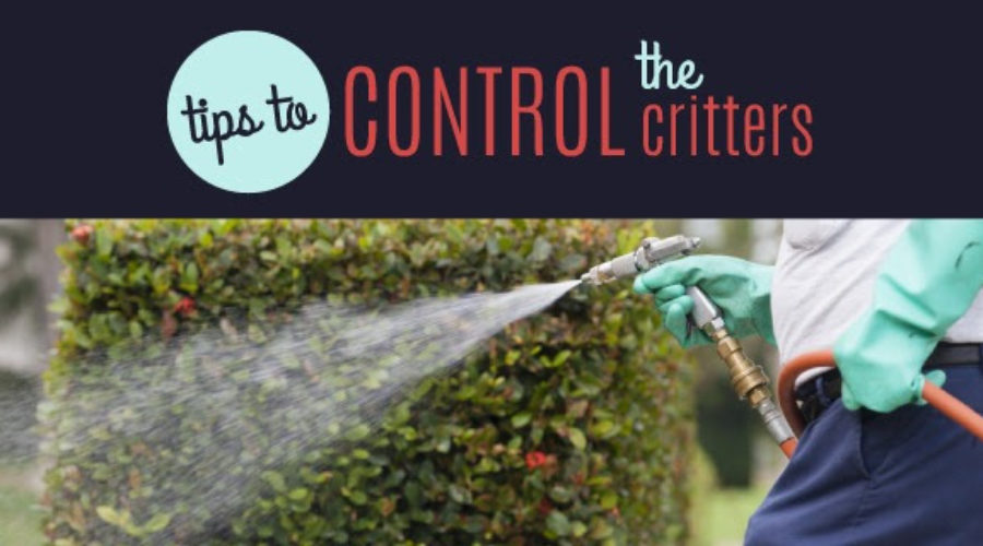 7 Tips for Controlling Critters